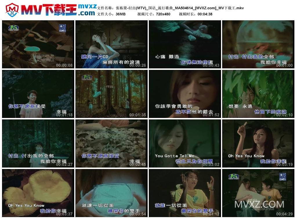 张栋梁-付出(MTV)_国语_流行歌曲_MA504614